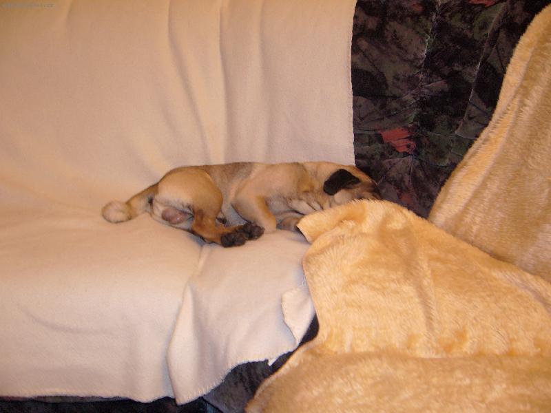 Foto: Arnie